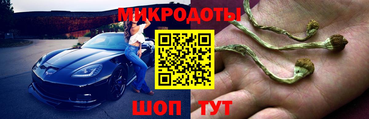 Городец  Псилоцибиновые грибы мицелий  Вход с VPN  Псилоцибиновые грибы Cubensis 