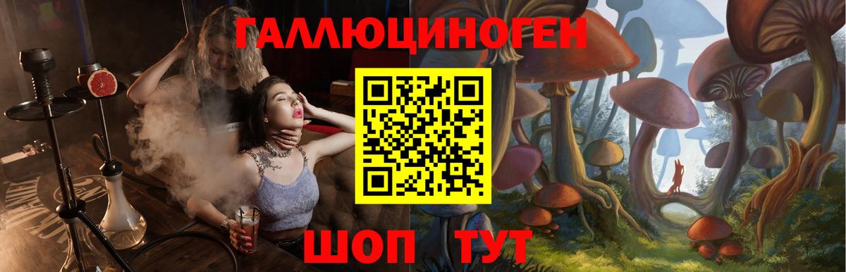 Галлюциногенные грибы Psilocybe Городец